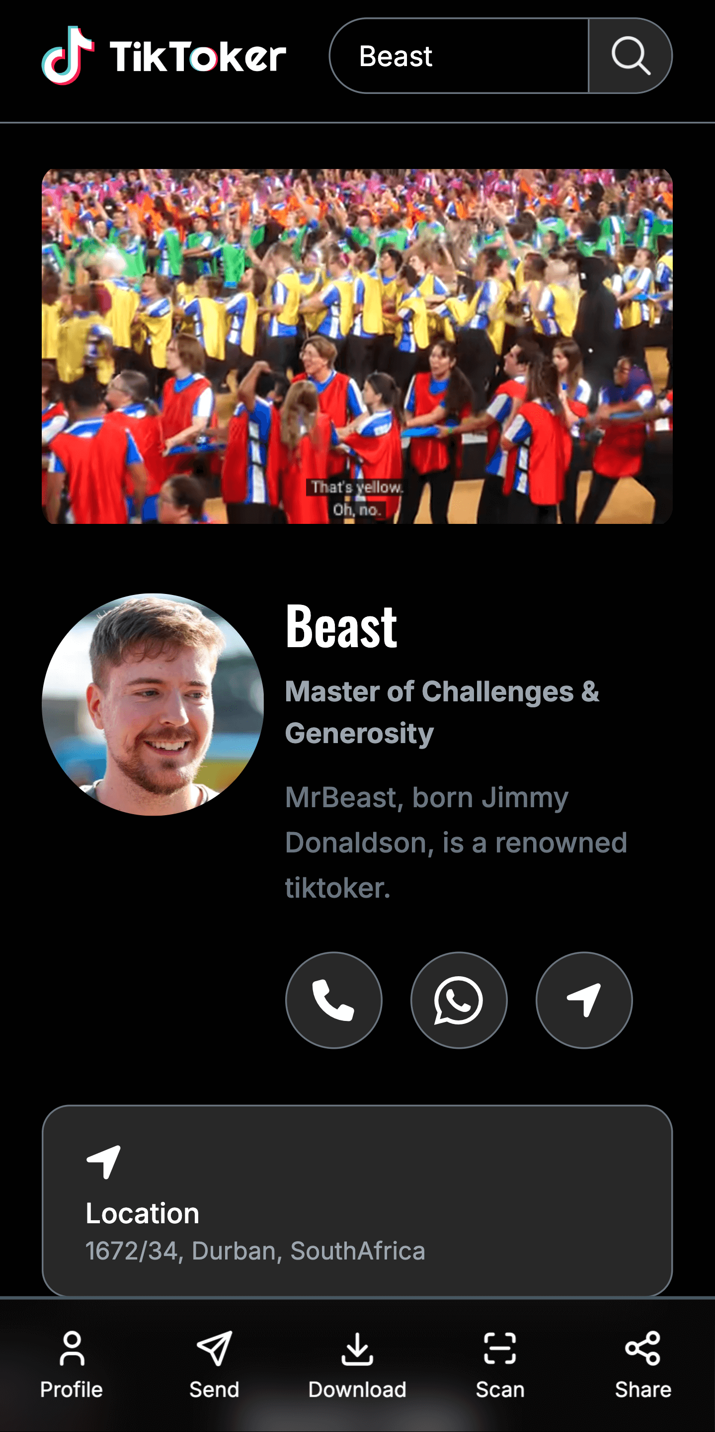 TikToker vCard theme sample